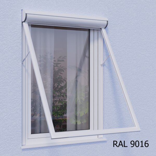 RAL 9016 Verkehrsweiß